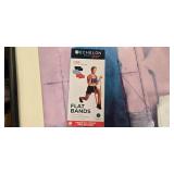 Echelon Connect Sport Flat Bands (NEW)