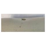 Antique Red Wing 12 Gallon Birch Leaf Crock