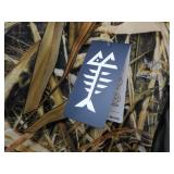 Bass Dash size Large Men