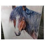 Wendi Luhman Signed Horse Picture 1...