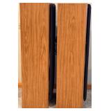 Technics SB-A31 3-Way Speaker System - Pair