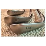 PING Burl Oaks Golf Bag & Irons