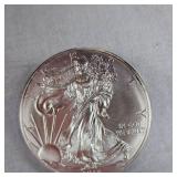 2013 Silver Eagle UNC w/Toning