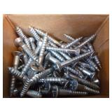 Assorted Screws and Nails