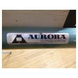 2 Overhead Projectors and Screens