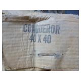 2 Overhead Projectors and Screens