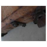 ANTIQUE DOUBLE OX YOKE