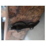 ANTIQUE DOUBLE OX YOKE