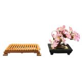 LEGO Icons Bonsai Tree | Year: 2021