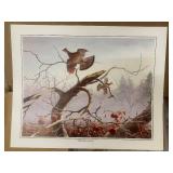 600+ Orchard Haven Wildlife Art Prints