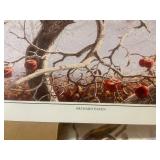 600+ Orchard Haven Wildlife Art Prints