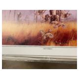 1000 âDisturbed