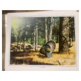 Wild Turkey Art Prints by J. Hager