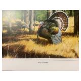Wild Turkey Art Prints by J. Hager