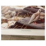 600 Chukar Partridge Art Prints