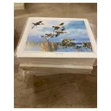 Approximately 700 Wildlife Art Prints featuring Northern Shoveler Ducks