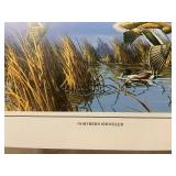 Approximately 700 Wildlife Art Prints featuring Northern Shoveler Ducks
