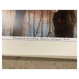 Collection of Approximately 500 Waterfowl Art Prints by Maass and Others, Assorted Sizes