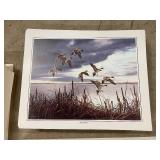 Collection of Approximately 500 Waterfowl Art Prints by Maass and Others, Assorted Sizes