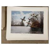 Collection of Approximately 500 Waterfowl Art Prints by Maass and Others, Assorted Sizes
