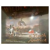 Pallet of Vintage and Collectible Hardcover Books Assorted Titles