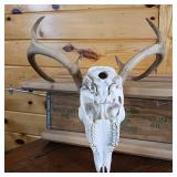 Very Nice European Style sprayed white Taxidermy Skull and Deer Rack