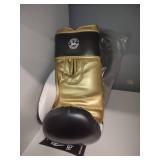 Venum 16oz. Boxing Gloves