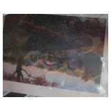 (EC1) Assortment of Sleeved and Boa...