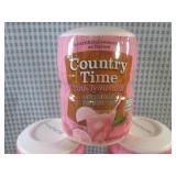 (B-1) 6 Containers of Country Time ...