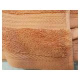 4 Hand Towels; new from JCPenny...