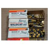 Assorted .22 LR Ammo