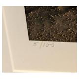 LR - Pair of Framed Landscape Prints by Janet Coleman 2003 - Braided River and Dune 45