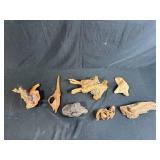 Collection of Antique Unique Natural Wood Knots and Burl Pieces