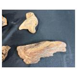 Collection of Antique Unique Natural Wood Knots and Burl Pieces