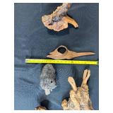 Collection of Antique Unique Natural Wood Knots and Burl Pieces