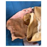 Large Bin of Mixed Leather Hides and Birch Bark Sheets