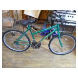 2 Adult Bicycles