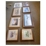 7 Framed Waterfowl Prints and 1 Unframed Print