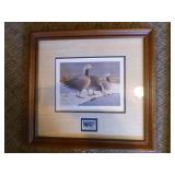 7 Framed Waterfowl Prints and 1 Unframed Print