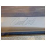 7 Framed Waterfowl Prints and 1 Unframed Print