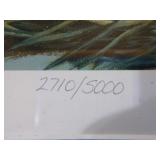 7 Framed Waterfowl Prints and 1 Unframed Print