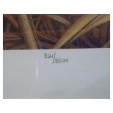 7 Framed Waterfowl Prints and 1 Unframed Print