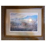 5 Framed Wildlife Prints