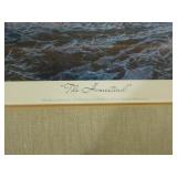 5 Framed Wildlife Prints