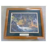 5 Framed Wildlife Prints