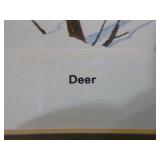 5 Framed Wildlife Prints