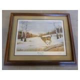 5 Framed Wildlife Prints