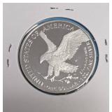 2023 W - American Silver Eagle - Proof Mint - 1 Oz. Fine Silver  (560,402 Minted)