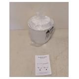 (2) SELF WATERING PLANTERS