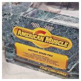 American  Muscle by Ertl 1/18th  Hooters Rick Mast #1